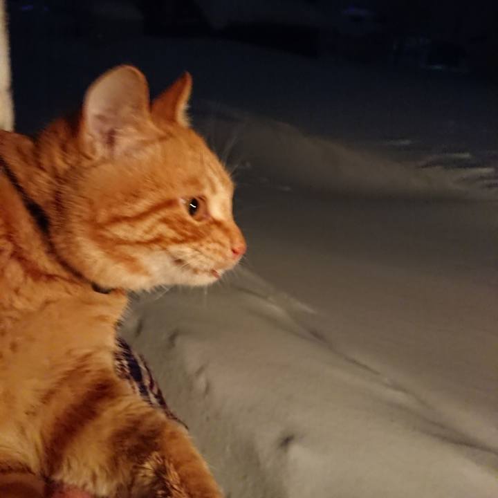 E03c95cd b0c9 4f75 ab35 5371365ddaa2 1641297306179