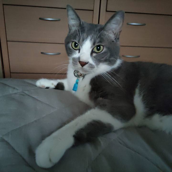 E03d2f95 97b7 42fb 936a ed9be83238ef 1696112096415