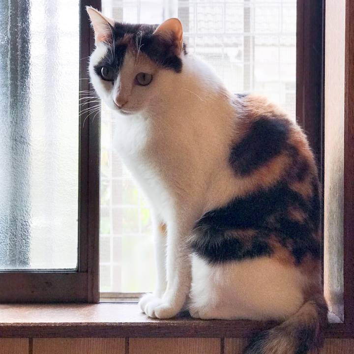 E03d6639 925a 45c9 b622 29eeab197685 1525395508763