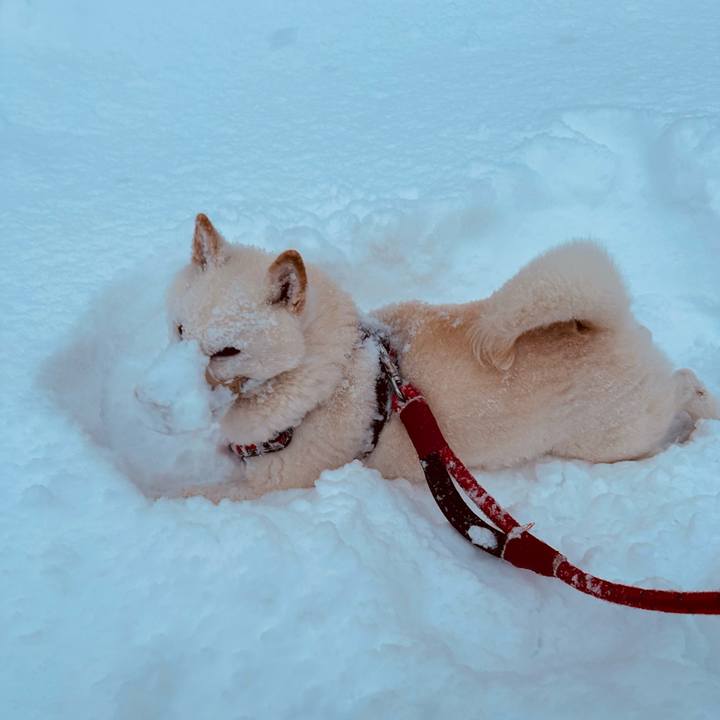 E03d874b 5cc6 430b 8d00 4d3c1ea87474 1766873795469