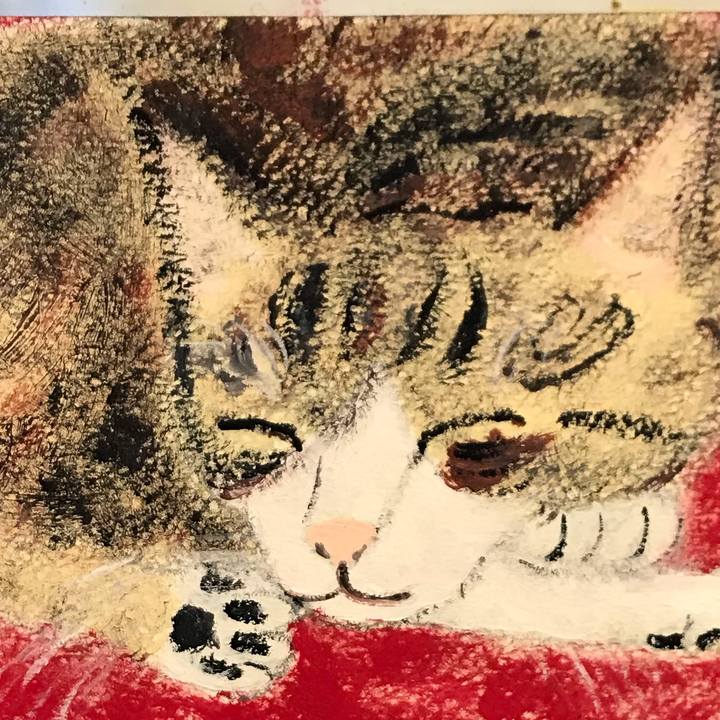 E03d9c06 23e7 41a3 aad1 6c268387a114 1552206371854