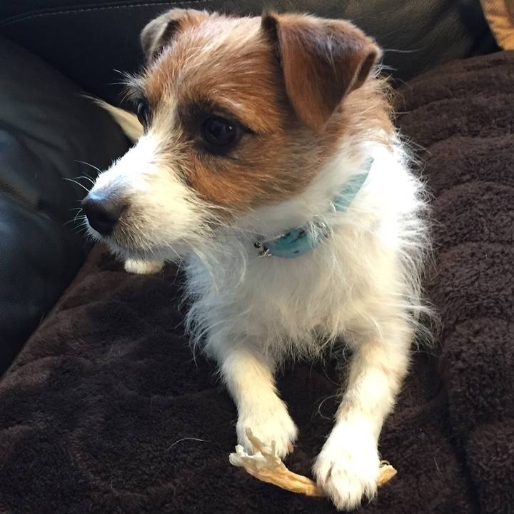 E03d9dab 9a9a 4763 831a 2cde2762d3a7 1511691575440