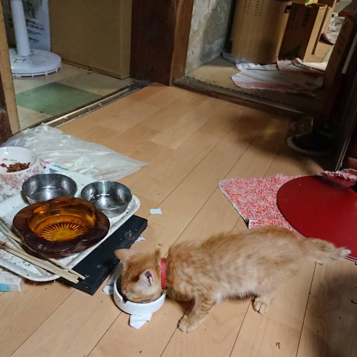 E03da67a 045c 4376 876d 0f746d362f68 1630057946486