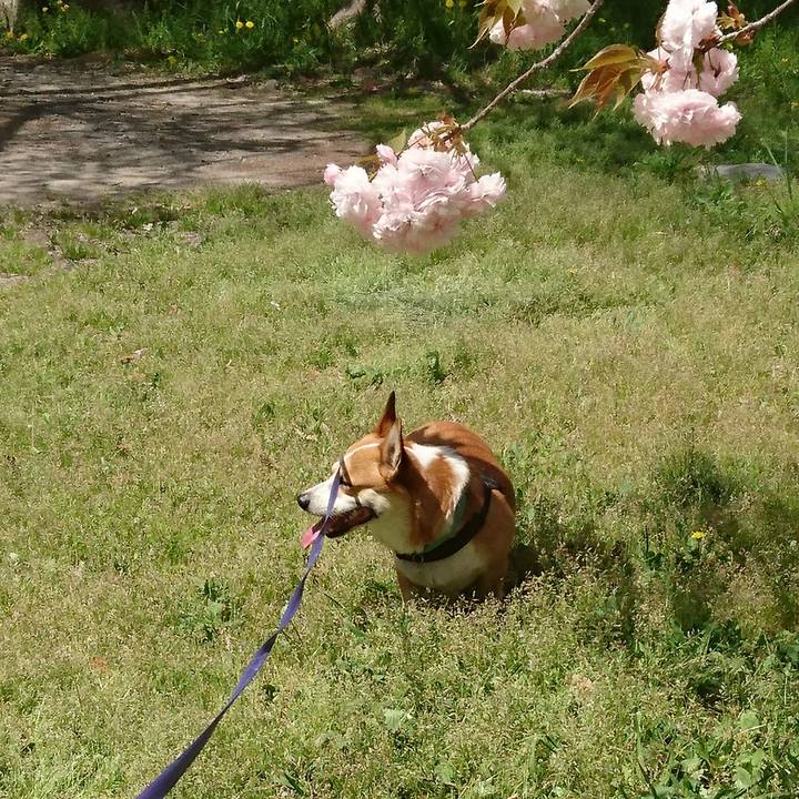 E03dc319 8cc6 4606 9b74 464e15c8acfd 1649644945345