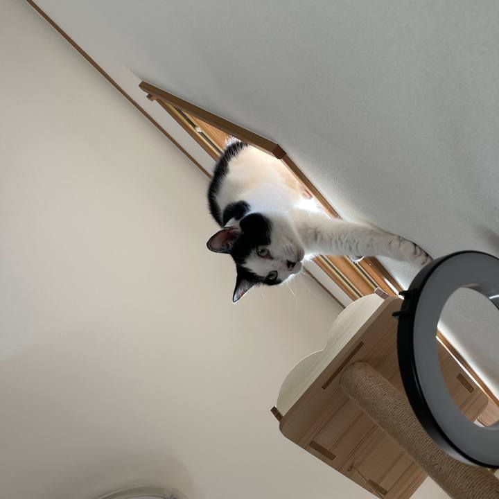 E03df8fc 18db 4961 a097 97b723c3ea45 1659165558044