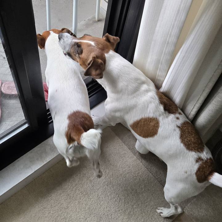 E03e06c6 bf73 4bf4 9d3d 9d40979e1600 1764553586433