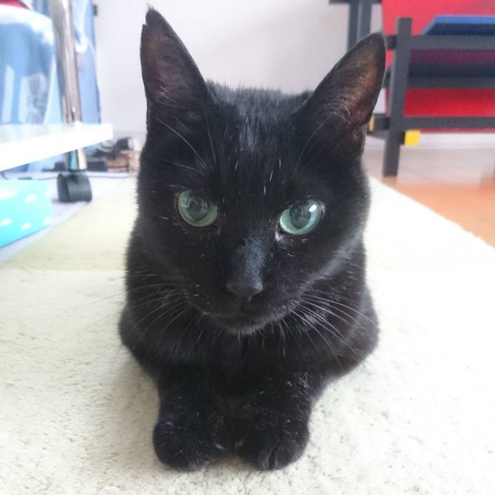 E03e11ab e798 410f b00b 51efbc28fb06 1526503168802