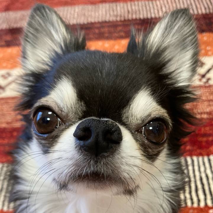 E03e1735 187c 417d 9c2a 8dc0ad4985c2 1674861229628