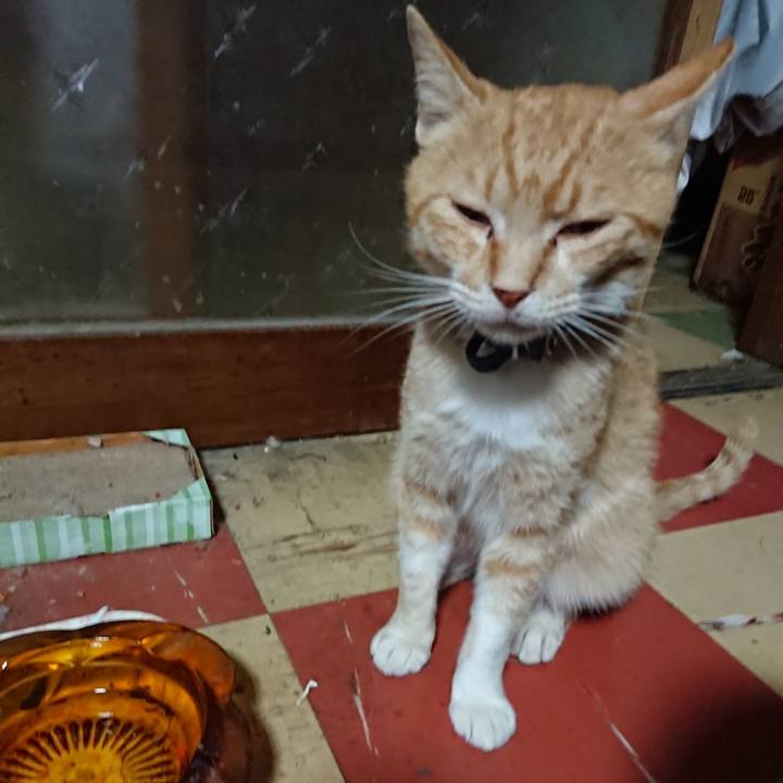 E03e2181 5c1f 4263 87f7 a456d9c404fa 1559505330466