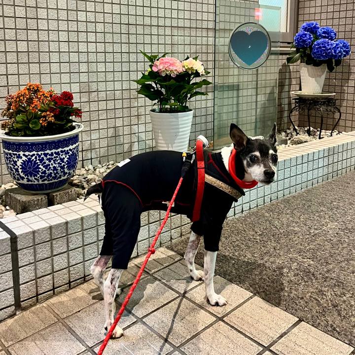 E03e2e84 f045 4e51 9807 84857fffe76d 1650889370951