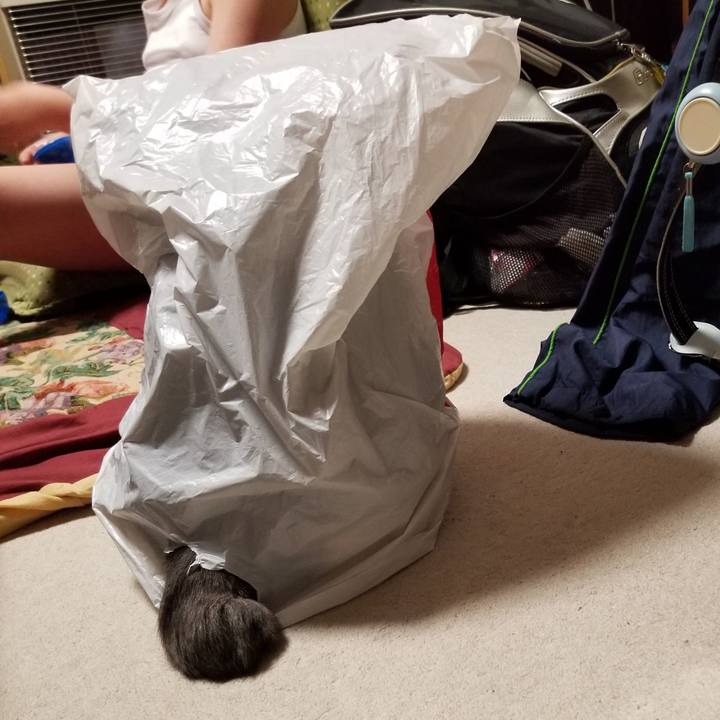 E03e5027 c691 4c27 b29b f2fec50ff88a 1579269865225