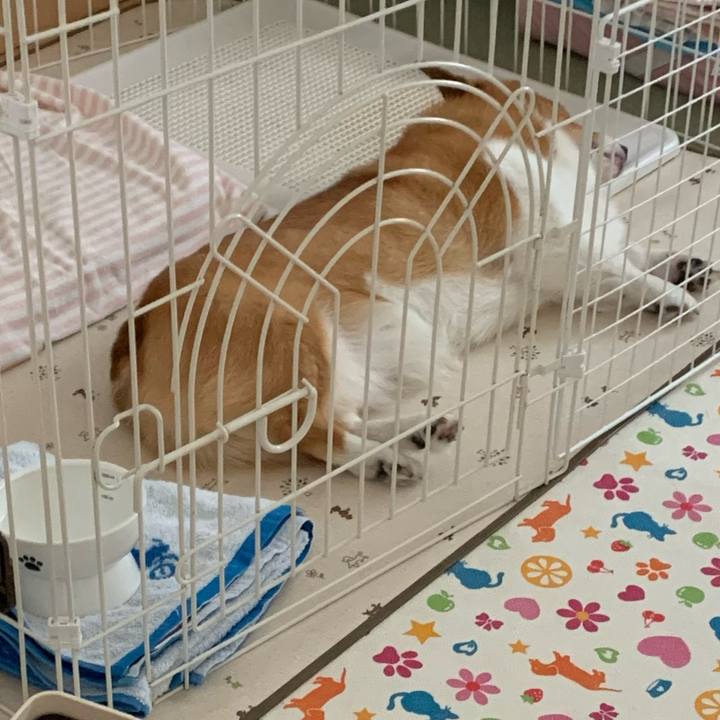 E03e6359 b1c9 4950 a6bb 32ed2ae083d7 1726121246512