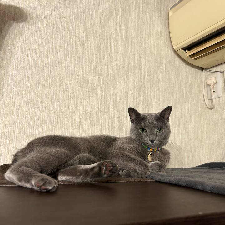 E03eaa6a 5537 4633 b806 780036034964 1700433459450