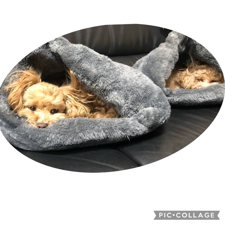 E03eb51a 5678 4b09 ae6d bbb18c7753a2 1640877305876