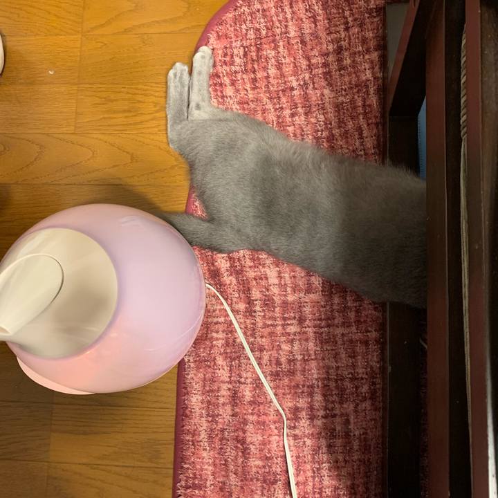 E03ee128 a166 4bf8 ad89 972656741804 1576558718654