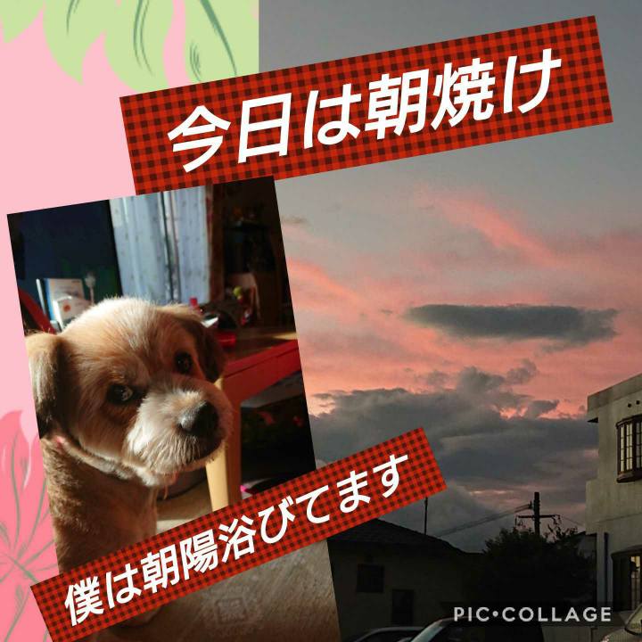 E03ee5d7 6ac0 46d4 be29 74bd9f6a7a96 1598393050568