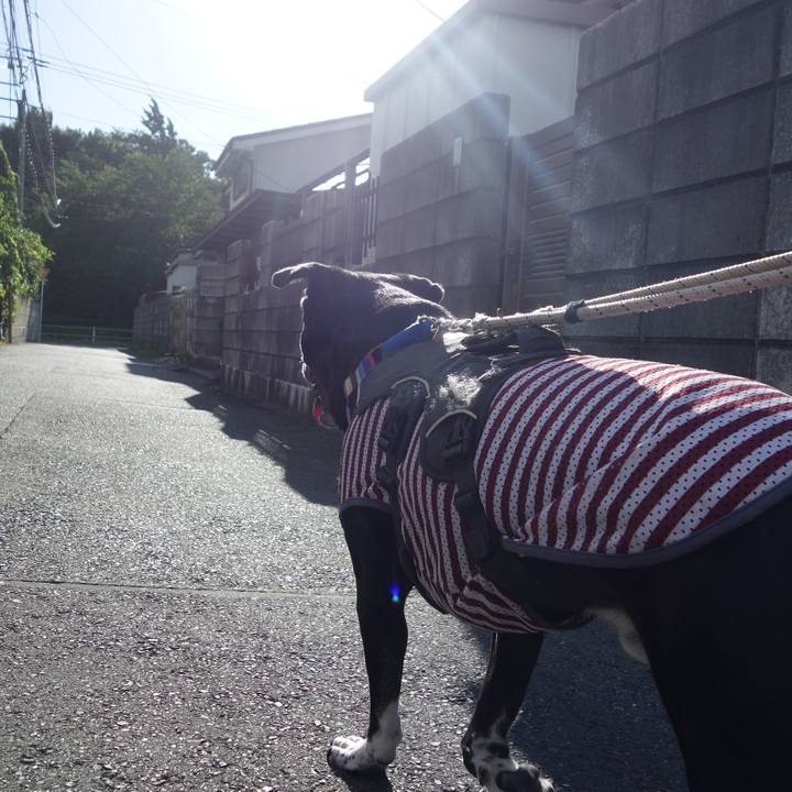 E03f19bb d333 46f2 a080 66ad1ef9b1b6 1660263246051