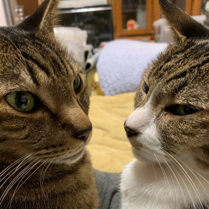 E03f79a9 42e0 4c30 a127 730b144819dd 1546218657755