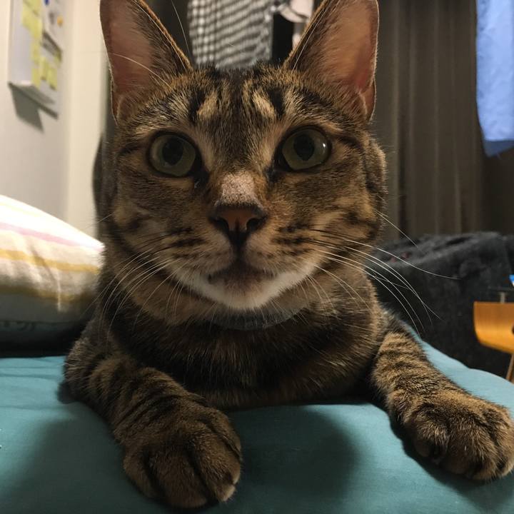 E03f7fe8 1dd3 44d9 a34f 8253feb074b5 1536185033251