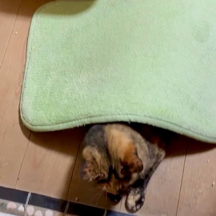 E03f9d8b d122 4006 895c 8c51fc3b4895 1753304853262