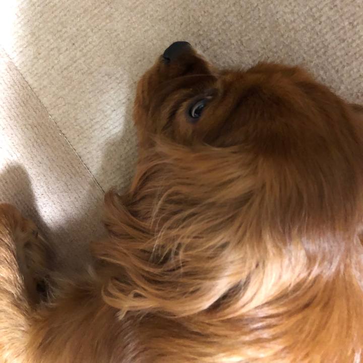 E03fc25e 7f39 40dd ba89 63cb7899327c 1544540496980