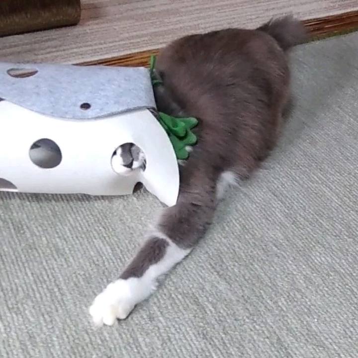 E03fd349 6312 41cb 82e5 bc533b412056 1726353269868