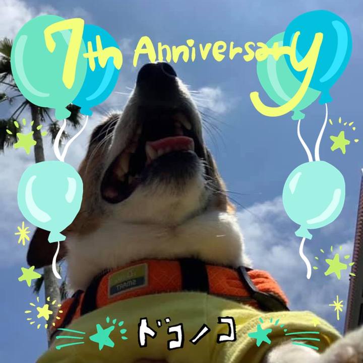 E03fd638 71f8 4139 bcc7 eb98b108f35d 1685936926610