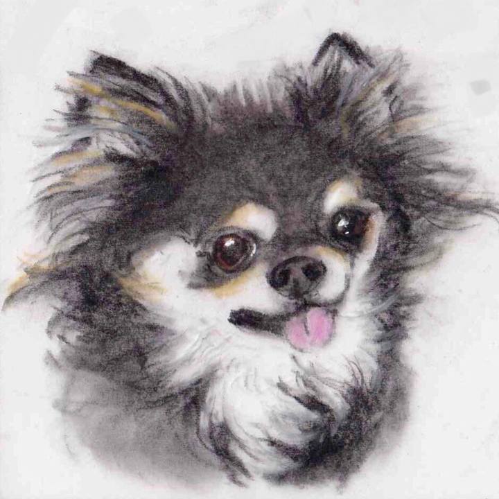 E0400c93 3fd0 4a8c a74b 0d3571987abc 1638926255278