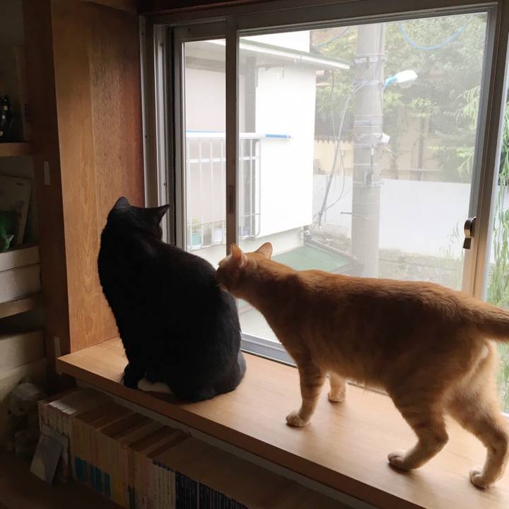 E0401429 aec9 403c a42a e1a5044a0479 1538696431168