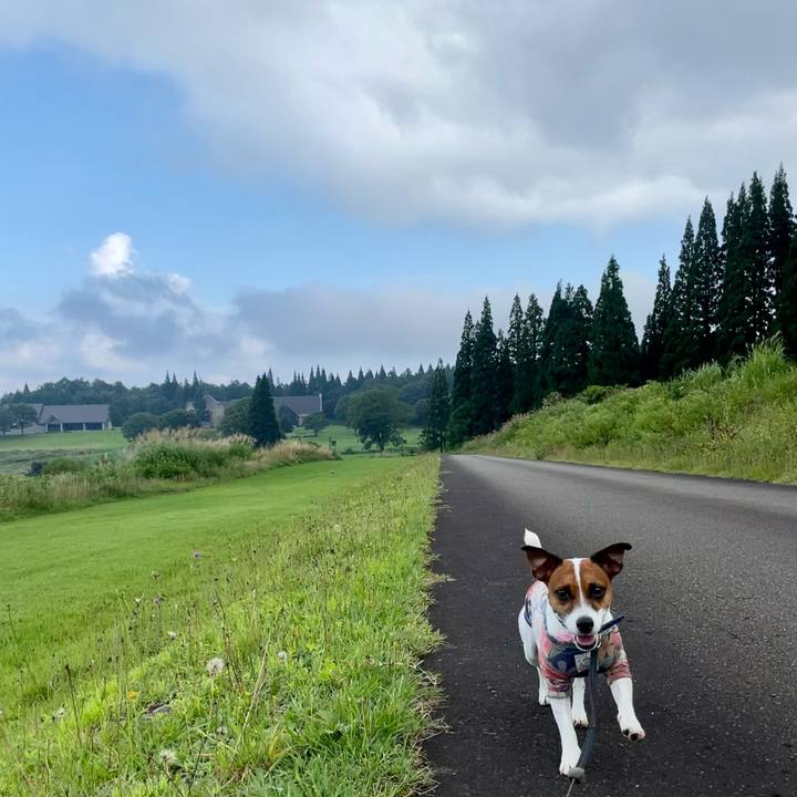 E040230a 2024 4f40 9c5d 20173ab6ce2c 1630404991348