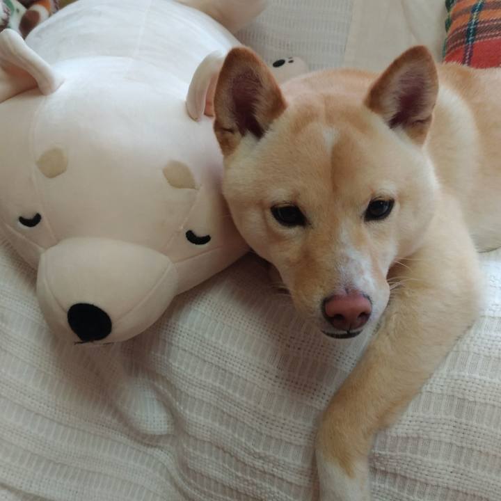 E0402c36 8da5 421f 9392 9b93e6e5be46 1519773750717