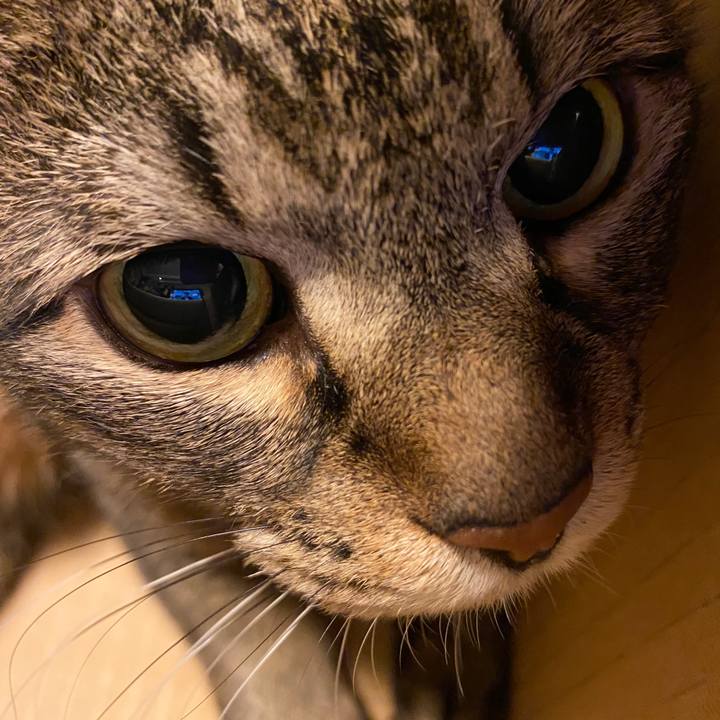 E0403a3b 4646 4b05 8a29 d0931cfde678 1664069721057