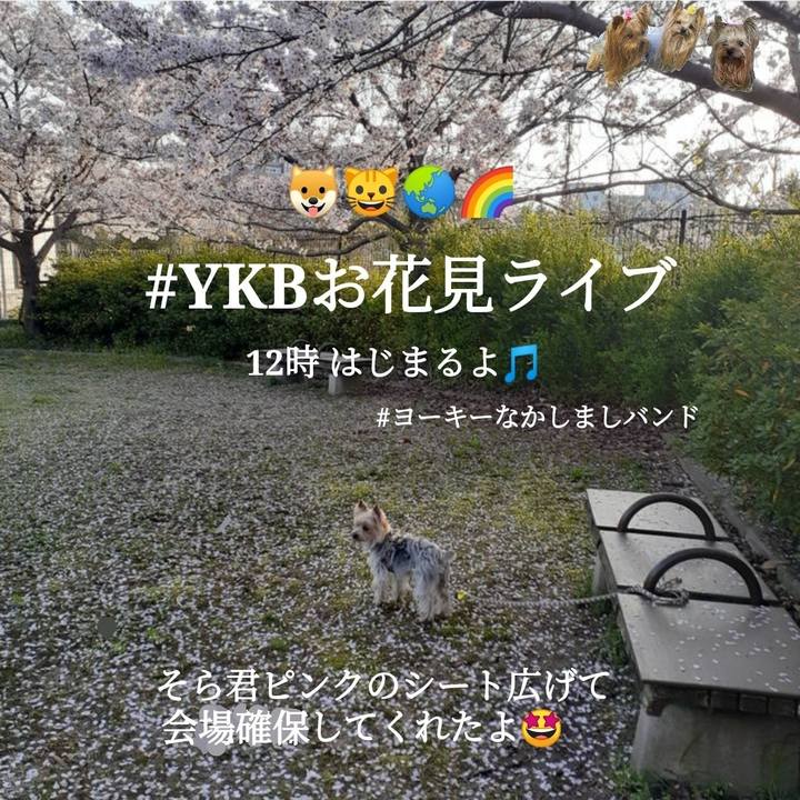 E0406e6d 6e21 4a5c 8a6b 238bc85dd2ea 1680313387307