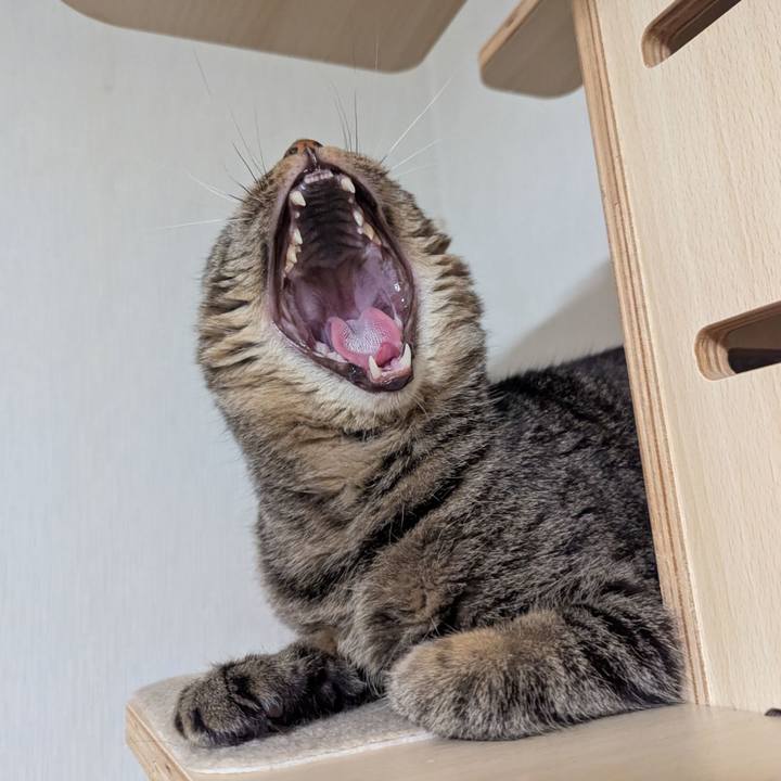 E040c556 a741 4a31 b373 ca1b110a68cd 1773383504712