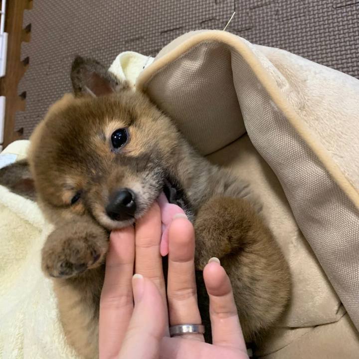 E0417643 1702 4df8 aa03 7ee2afc5bb32 1615845400953