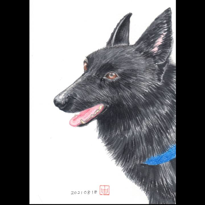 E0419583 b21a 4c3a beec e761ab4dd708 1629278412264