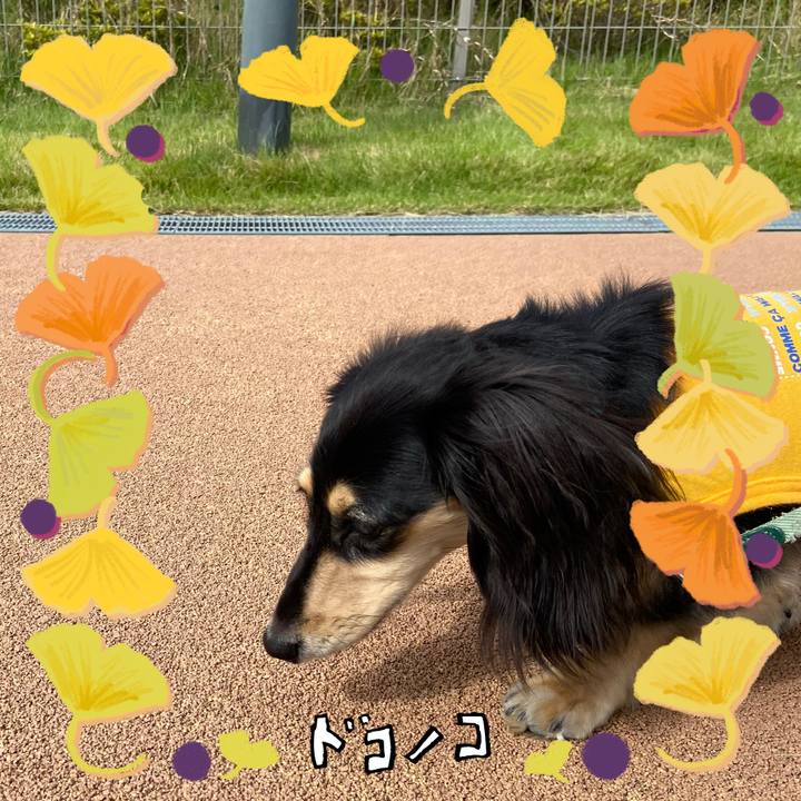 E0419a80 d533 4786 8c42 200e8c95b1ea 1729128842745