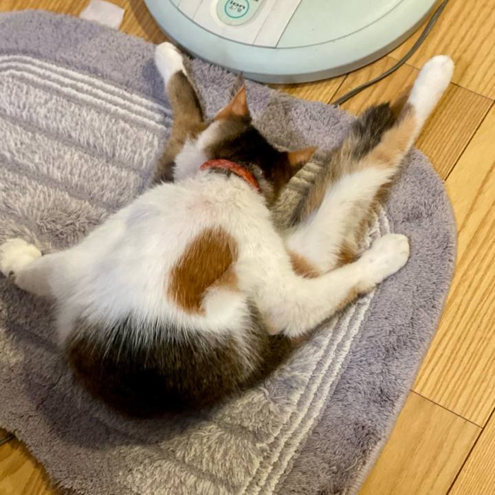 E041a6fc 7437 40a4 a597 2b11bf60078e 1660566196080