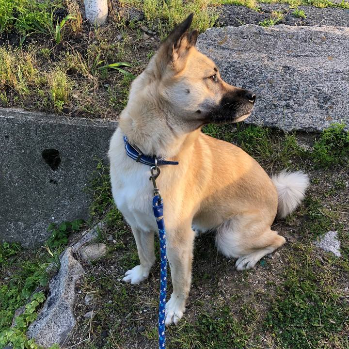 E041ac58 10d9 4ff0 9208 c4e75a7a3410 1526907295923