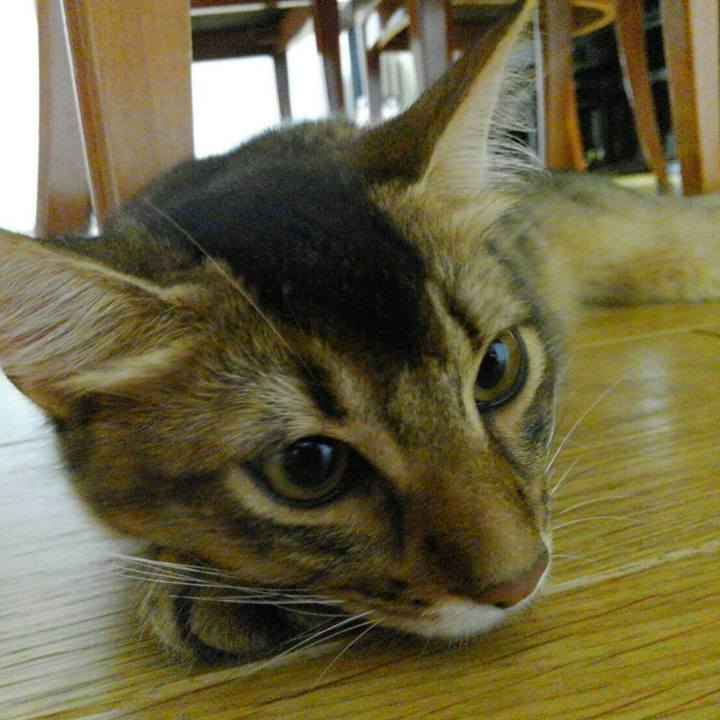 E041bb66 c4d5 47b3 8efc 9288872d7b5b 1573213942985