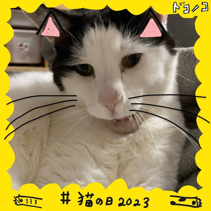 E041e38d 0b3b 4179 b8df ba428d38d757 1677067290355