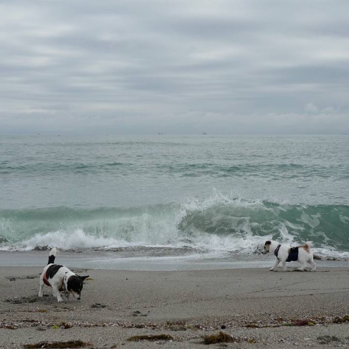 E041e9ee f69d 407f 8313 3c6d9b87f8de 1529123549301