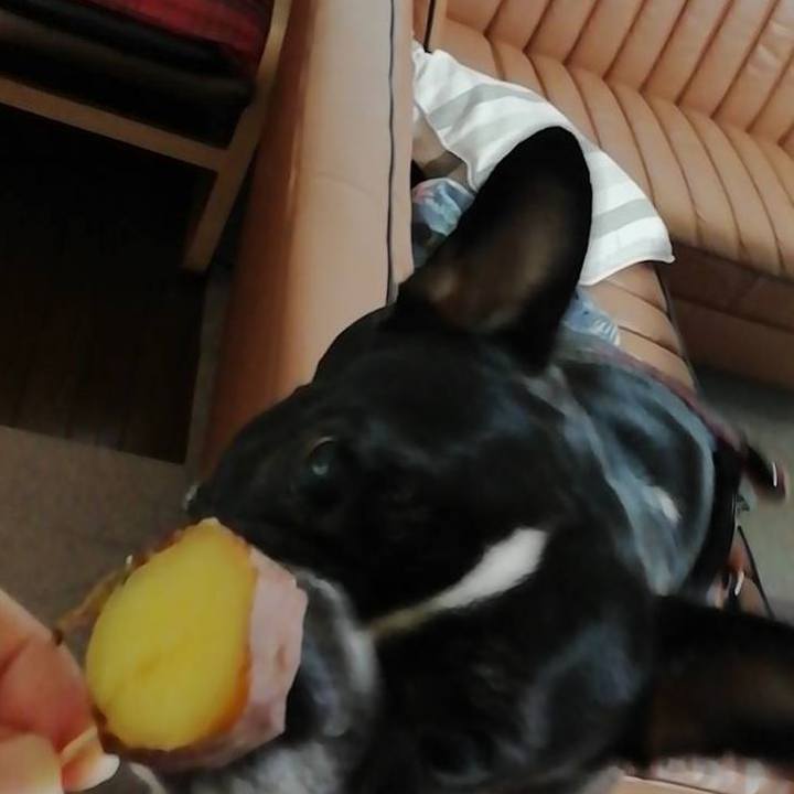 E041f836 82e6 49ac 9945 37100d22d41c 1571983610417