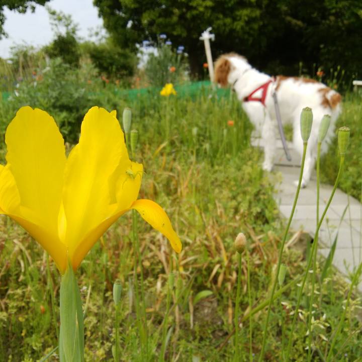 E04231c1 4725 4b6c 8481 f95889b599d0 1525078561981