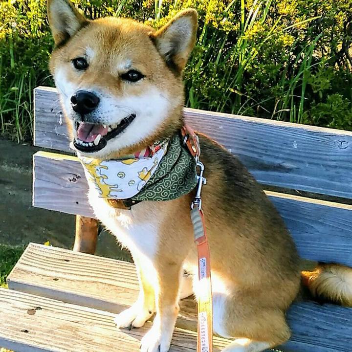 E0424000 69a3 4a93 922f 90715cd3ca1b 1534926974292