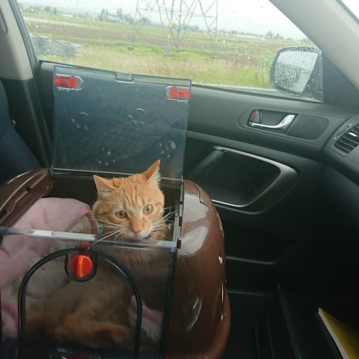 E0426d6d 4c5e 406c ae7f 5877503dd223 1654478552225