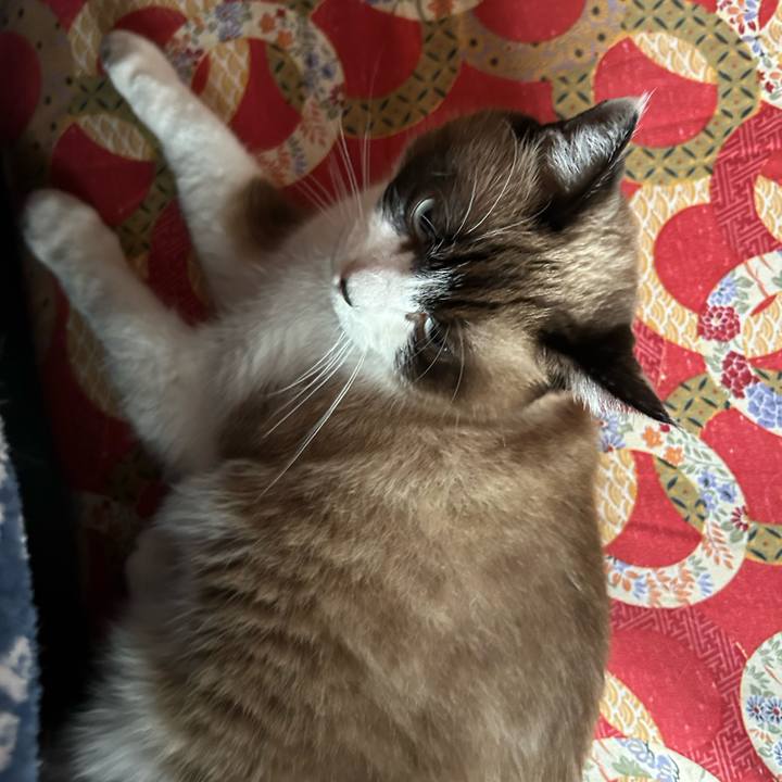 E0427385 6a34 4280 be84 126e407b6071 1761603860010