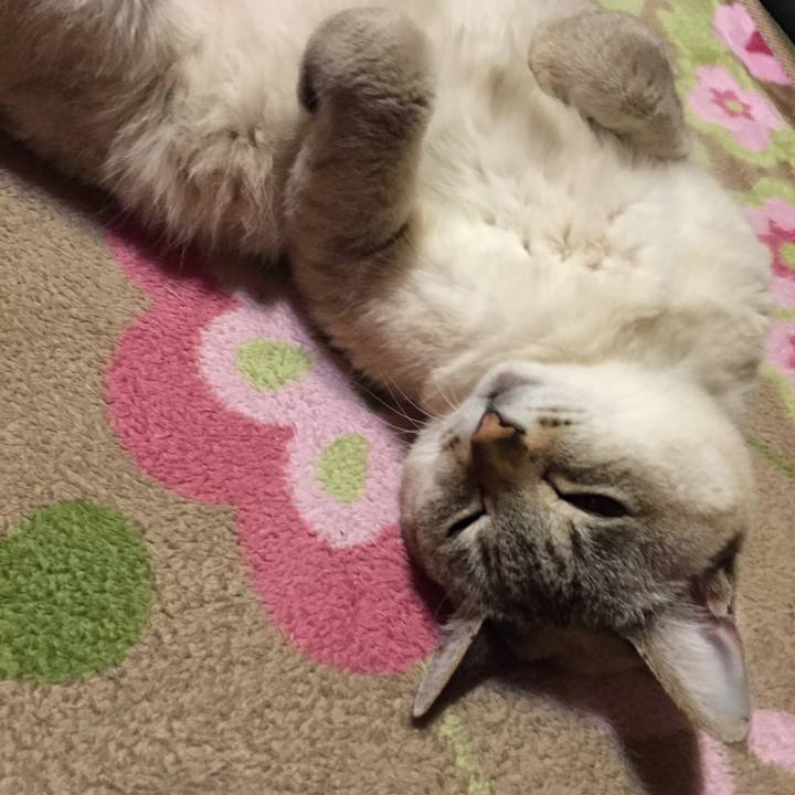 E042b763 963f 4972 b1c1 137e08e12b38 1519135319815