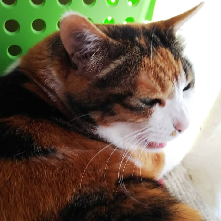 E042dbc8 2370 4b2a b34e 08582cf3f10c 1558043604203