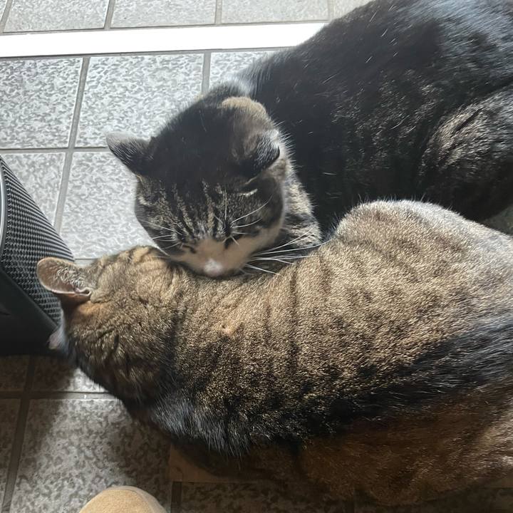 E042e4a2 0127 4732 8cc0 c4779e874b93 1611802620634